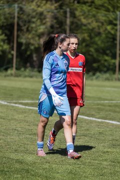 Bild 165 - wBJ Hamburger SV - Hertha BSC : Ergebnis: 5:2